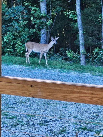 $600,000 | 5504 Marion Road, Metropolis, IL 62960