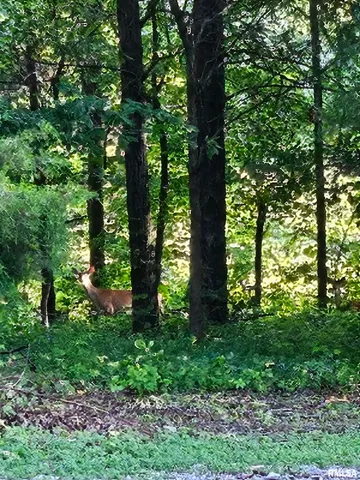 $600,000 | 5504 Marion Road, Metropolis, IL 62960