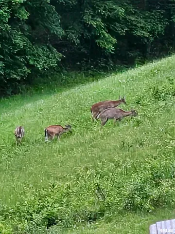 $600,000 | 5504 Marion Road, Metropolis, IL 62960