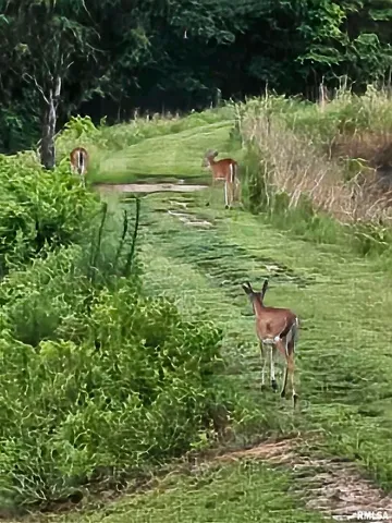 $600,000 | 5504 Marion Road, Metropolis, IL 62960