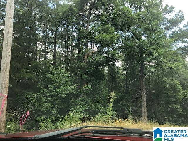 Mountain View Vance, AL 35490 - Photo 15 of 28
