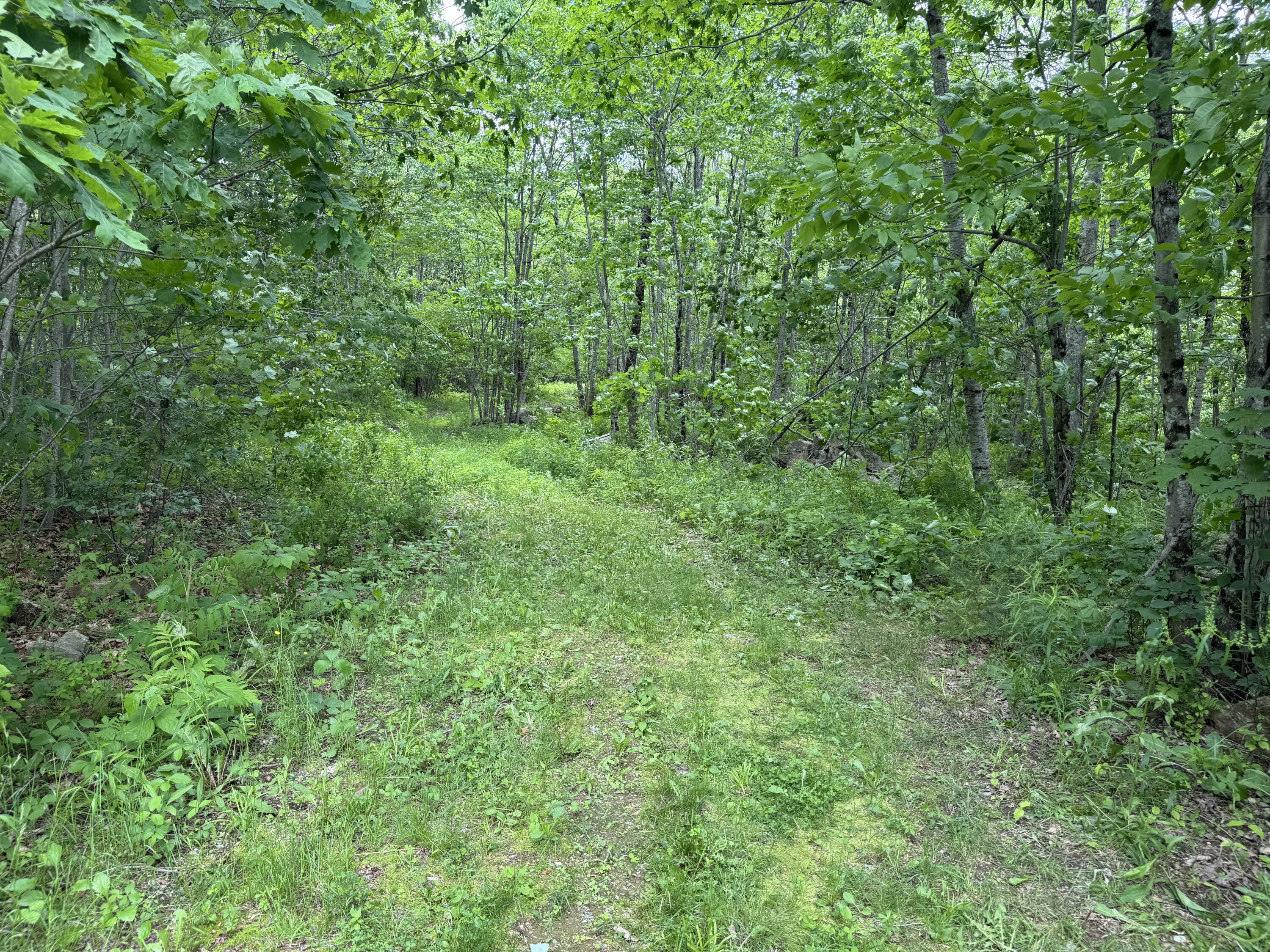 417 Mills Road Whitefield, ME 04353 - Photo 30 of 32 IMG_0103