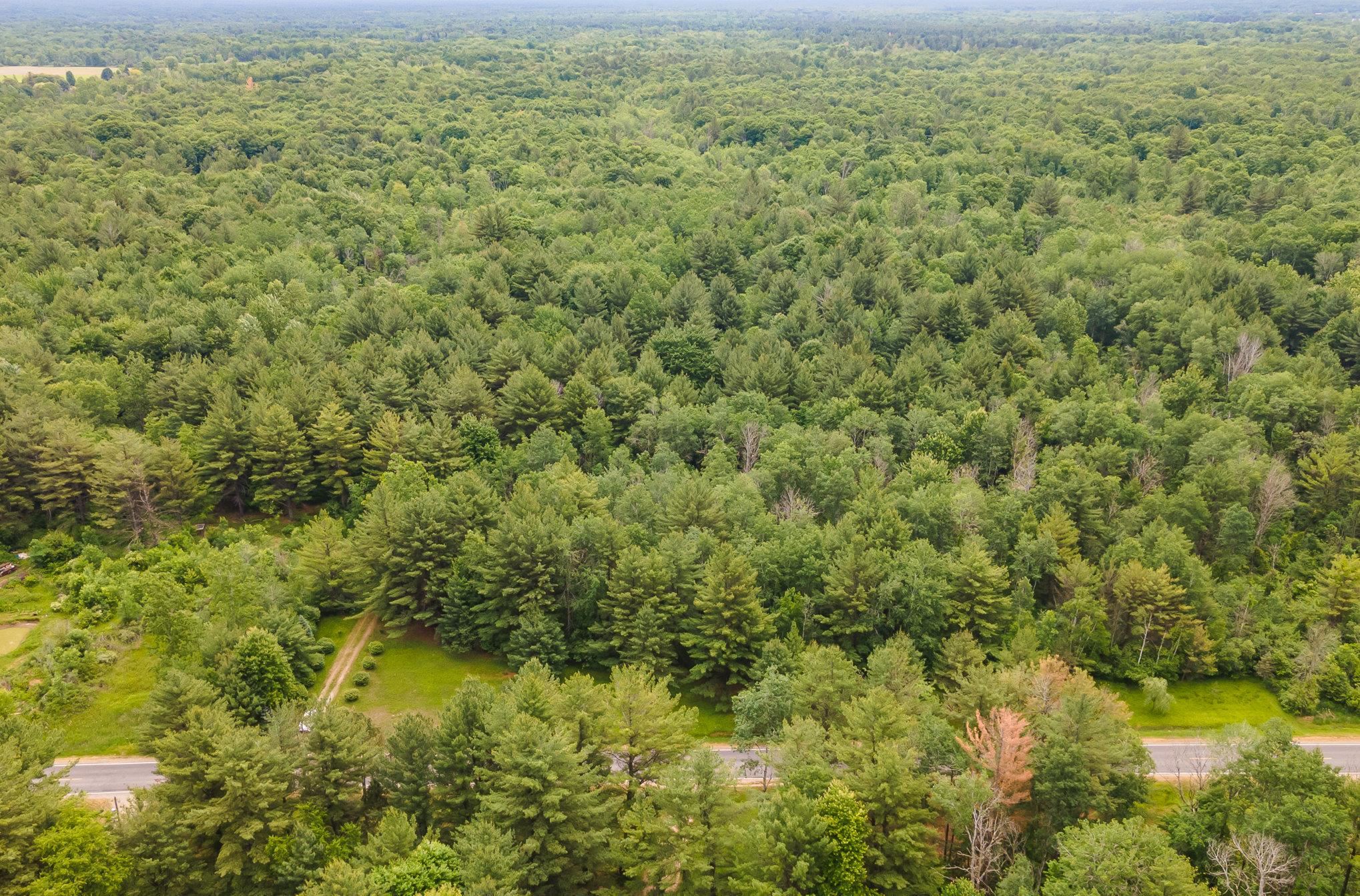 674 North Leaton Road Mount Pleasant, MI 48858 - Photo 10 of 17