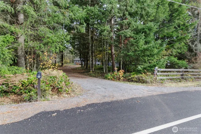 a view of backyard with tree