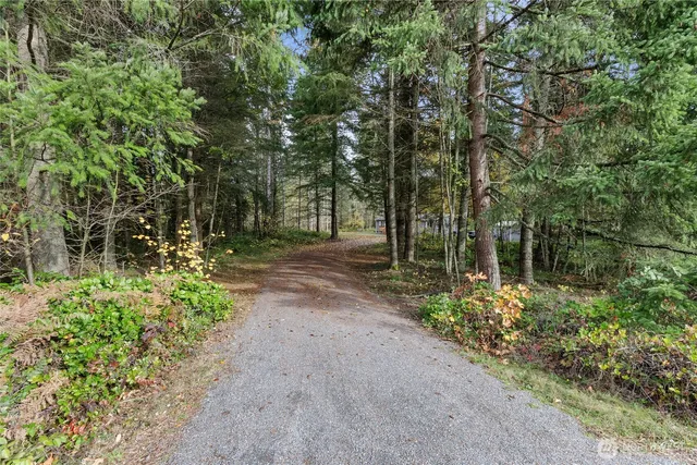 a view of outdoor space with lots of trees