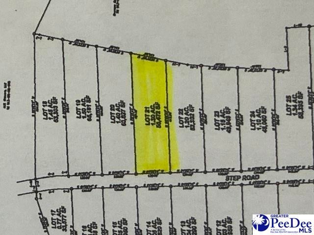 Lot 21 Step Road Wallace, SC 29596 - Photo 2 of 2 Gallery Image 2