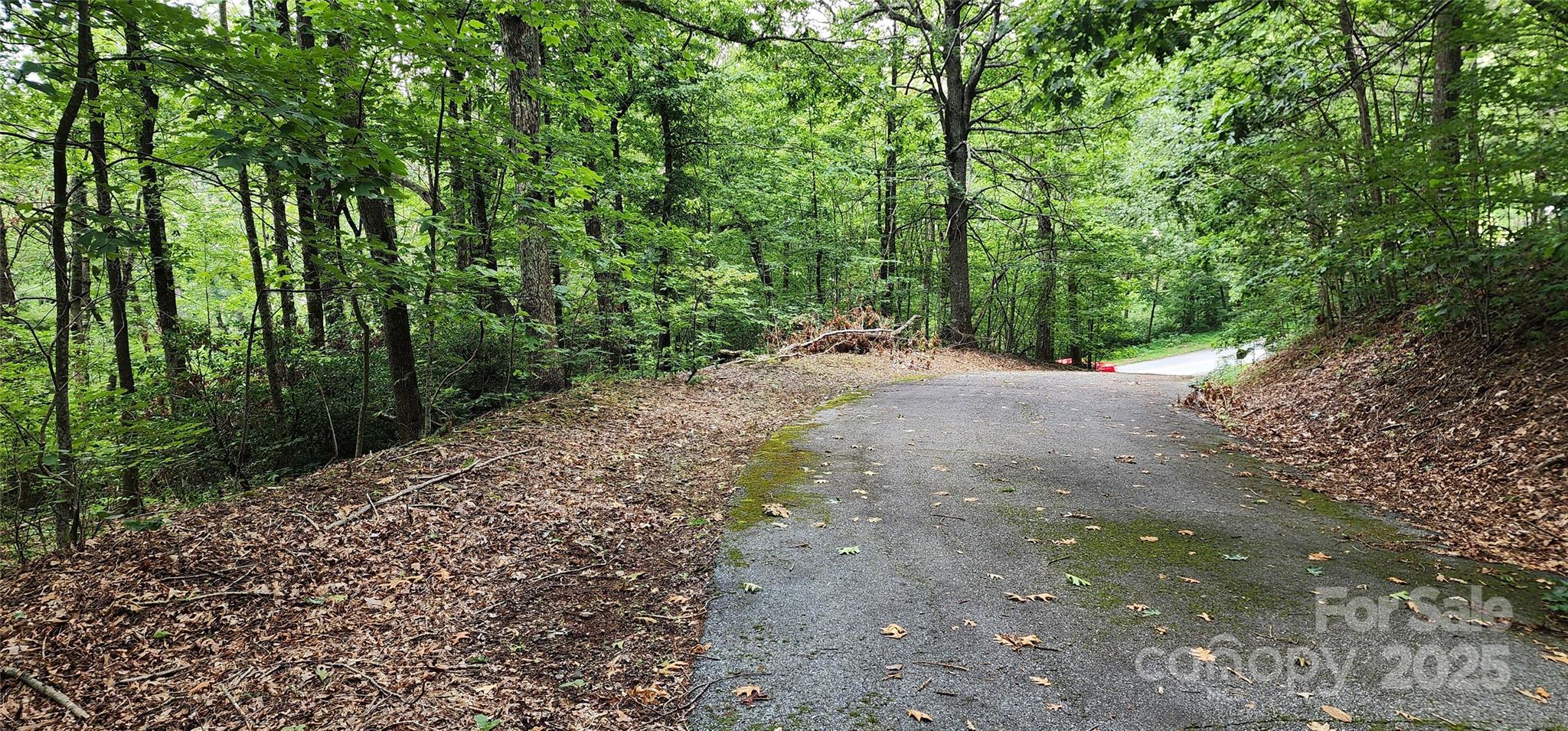 5-lots White Oak Mountain Road Columbus, NC 28722 - Photo 26 of 33 a view of a dirt road with trees in the background