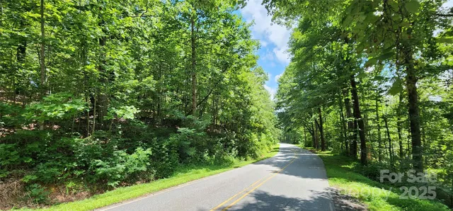 a view of a lush green forest
