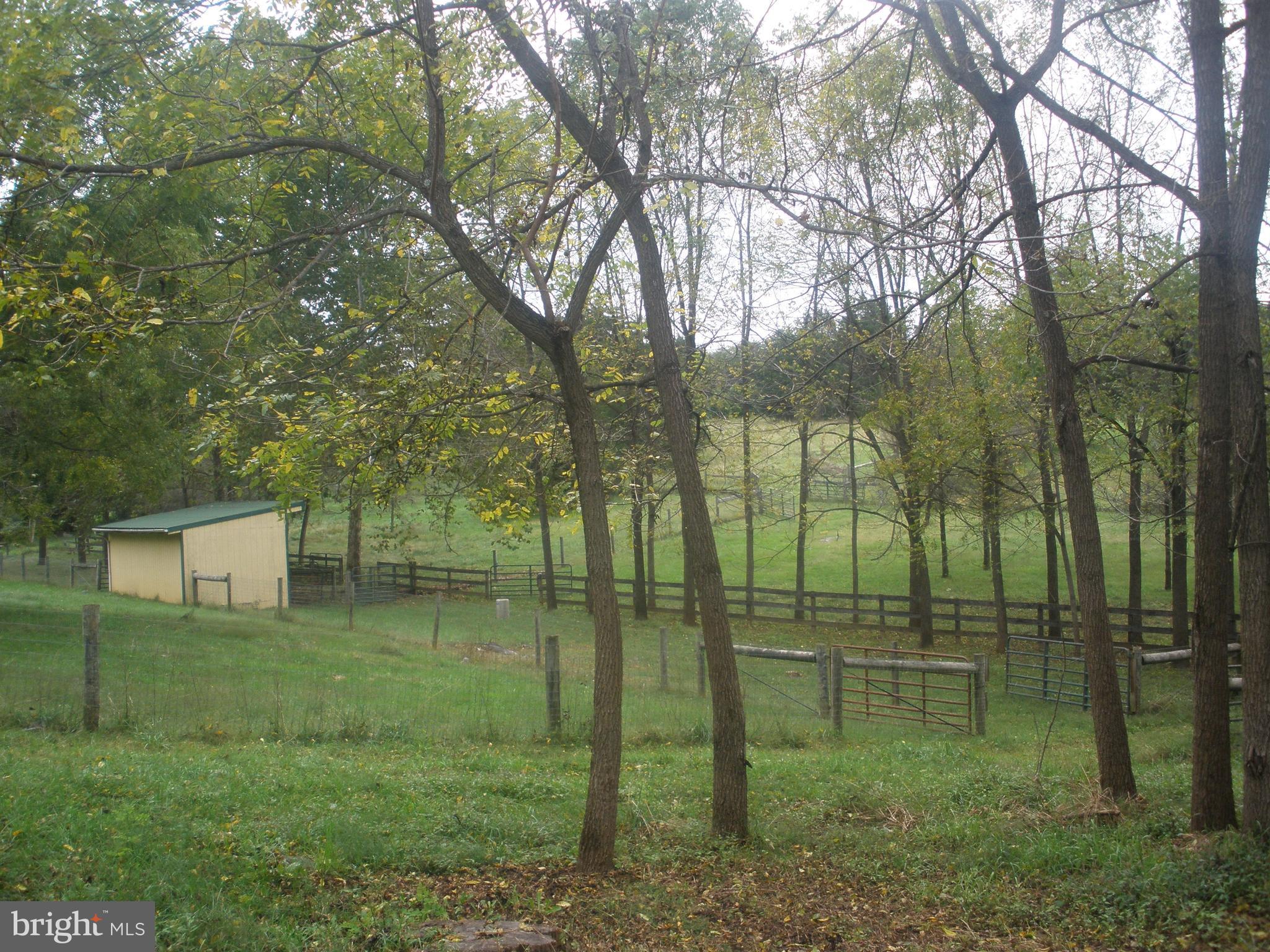 14103 Rockdale Road Clear Spring, MD 21722 - Photo 16 of 24 a view of a backyard