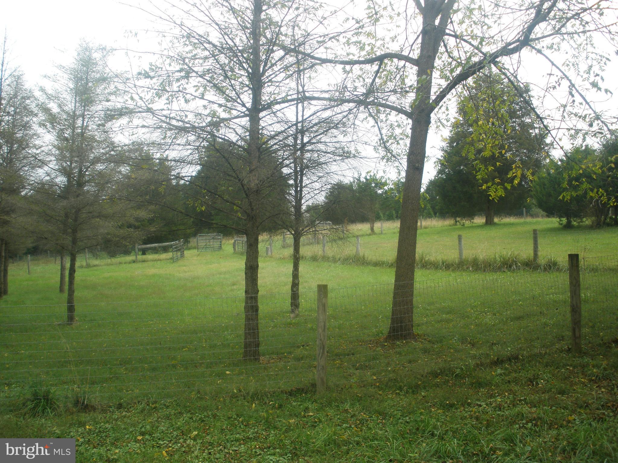 14103 Rockdale Road Clear Spring, MD 21722 - Photo 19 of 24 a view of outdoor space with green field and trees