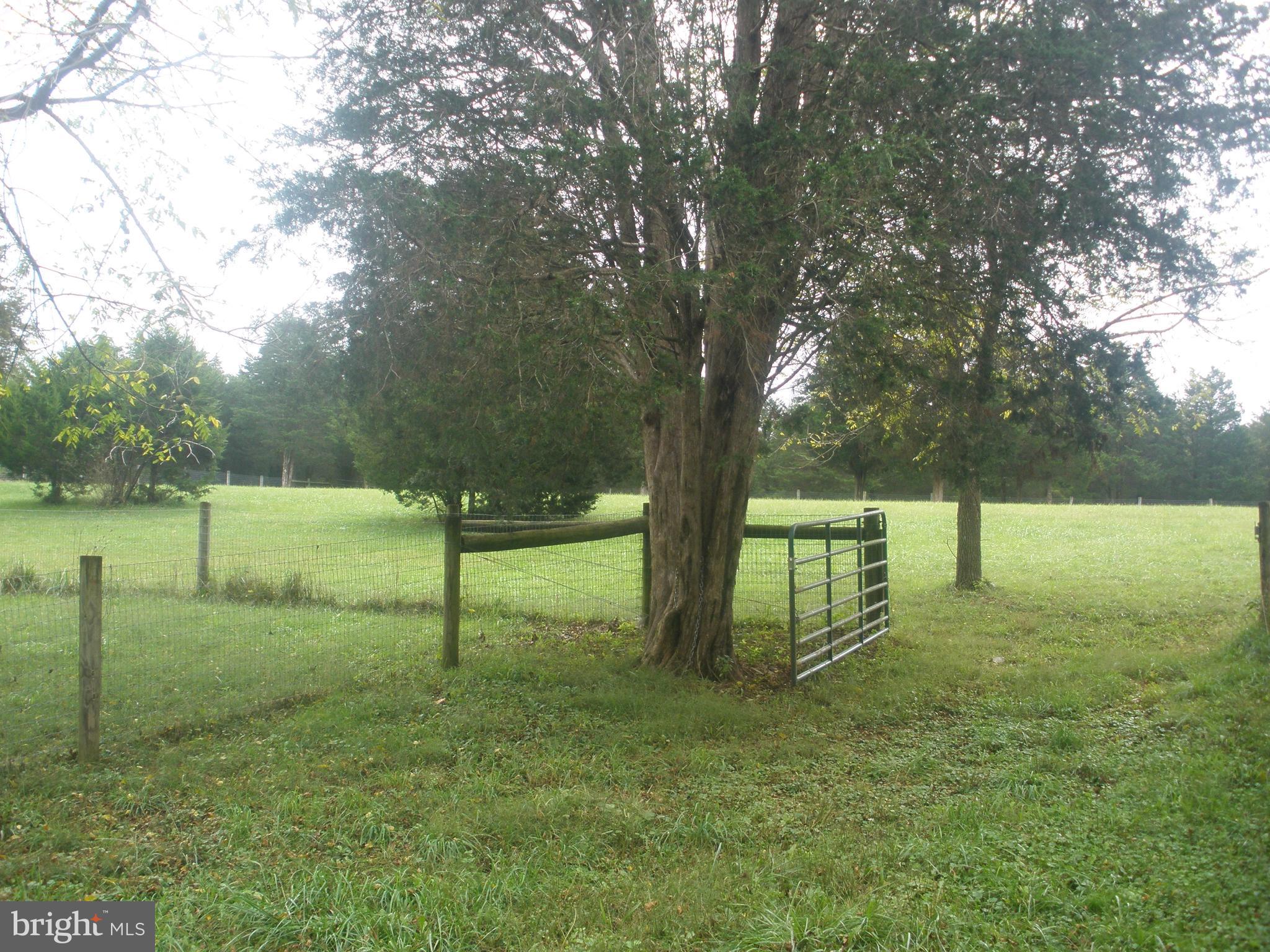 14103 Rockdale Road Clear Spring, MD 21722 - Photo 20 of 24 a view of a park with large trees