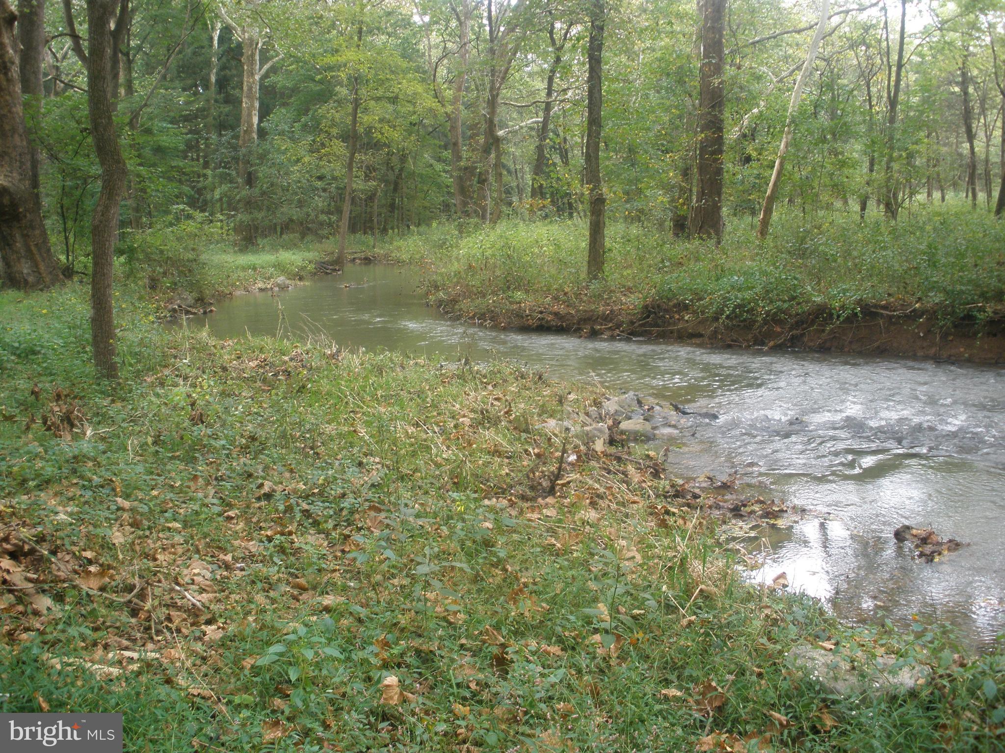14103 Rockdale Road Clear Spring, MD 21722 - Photo 22 of 24 a view of a forest with trees