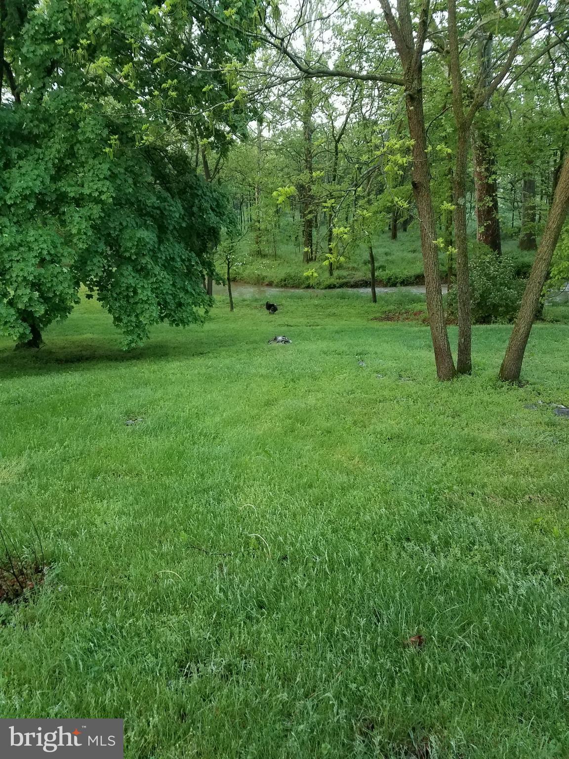 14103 Rockdale Road Clear Spring, MD 21722 - Photo 24 of 24 a view of grassy field with trees