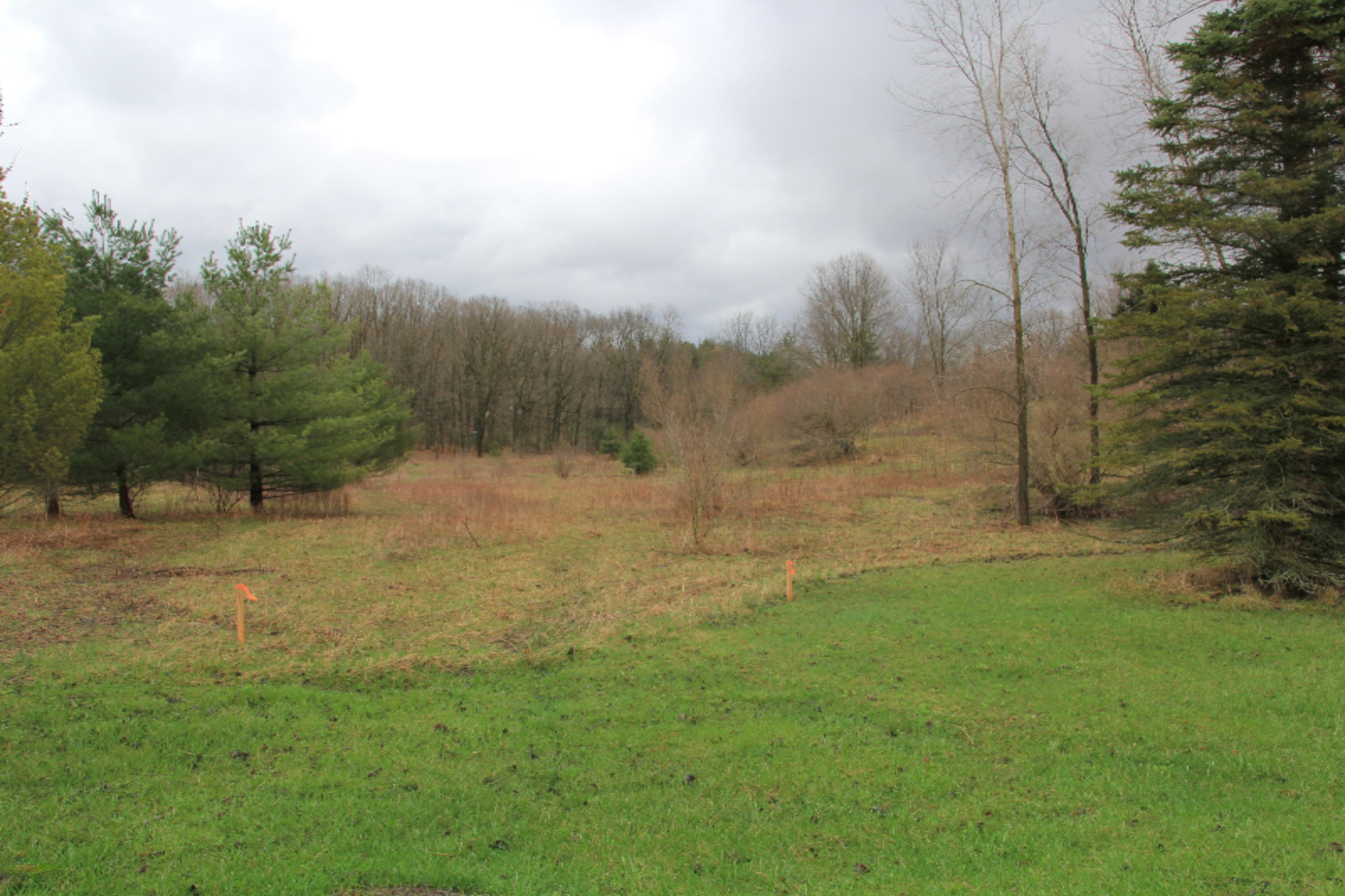 9864 Riley Ridge Road Southeast, Unit H Alto, MI 49302 - Photo 1 of 1 IMG_9636
