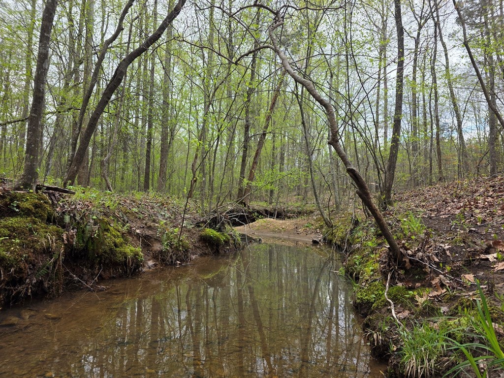 Spring Grove Road Spout Spring, VA 24593 - Photo 2 of 9 Gallery Image 2