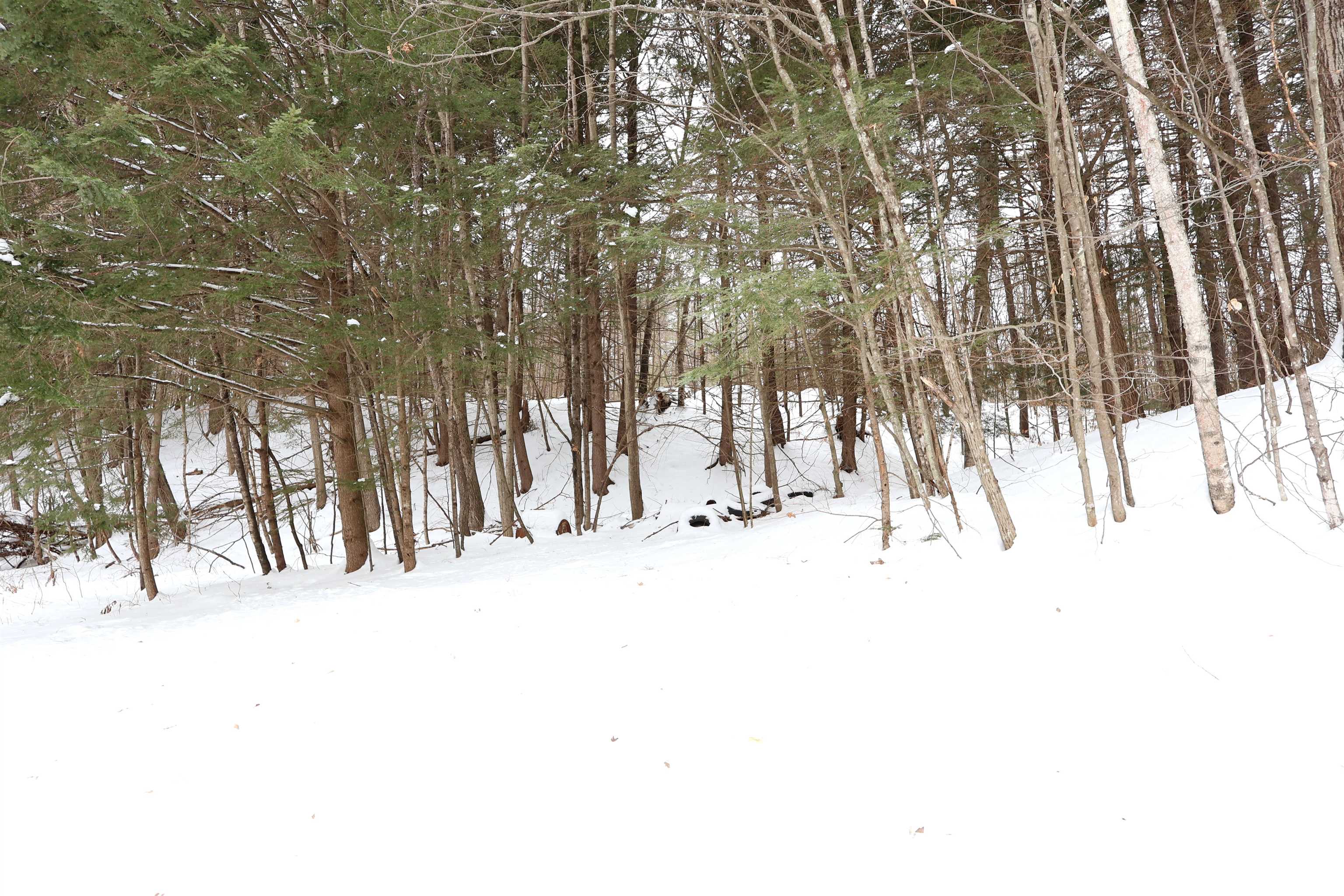 25 Independent Drive Hartland, VT 05048 - Photo 18 of 19