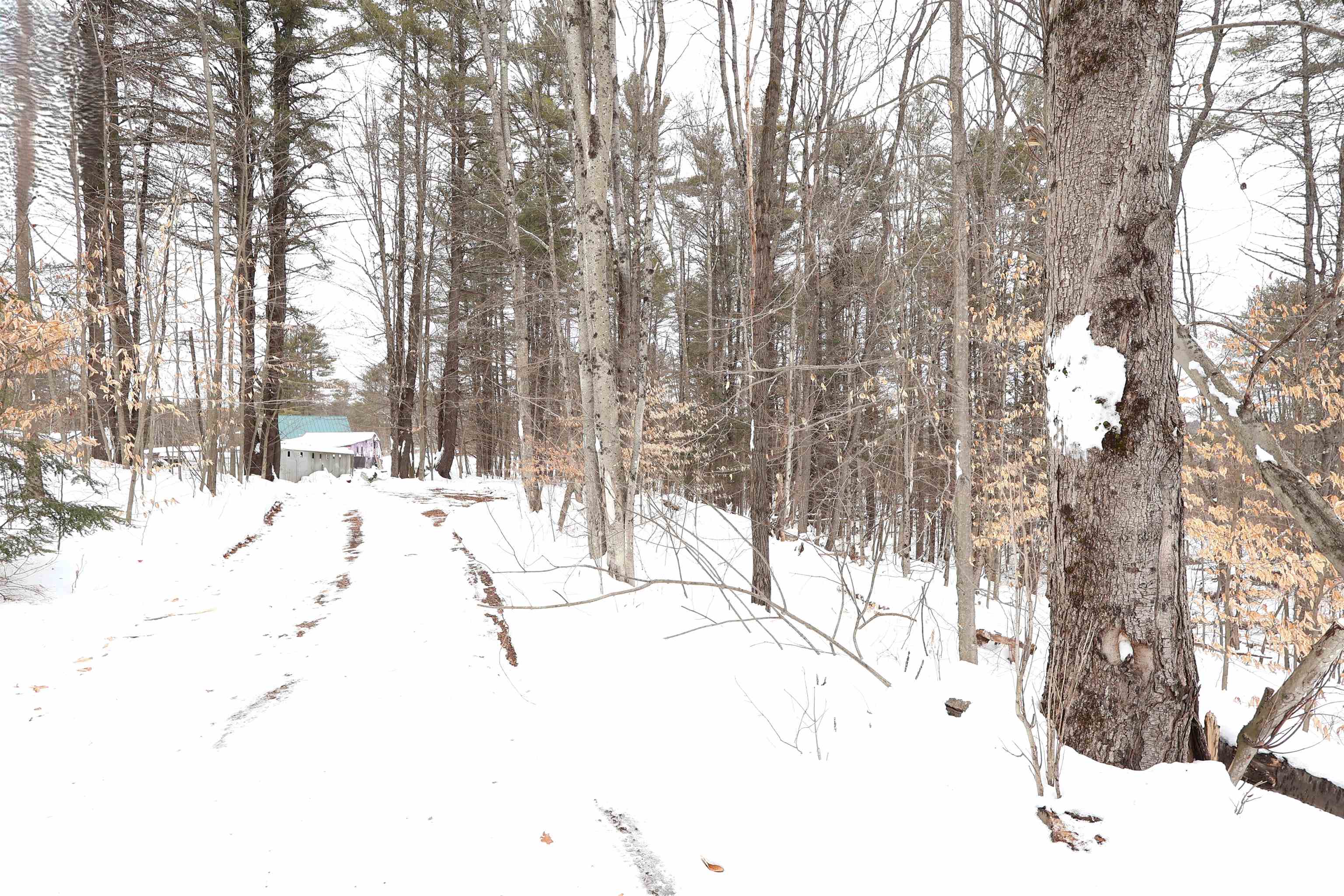 25 Independent Drive Hartland, VT 05048 - Photo 19 of 19