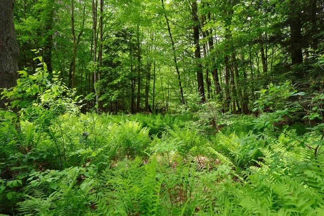 $359,000 | 25 Independent Drive, Hartland, VT 05048