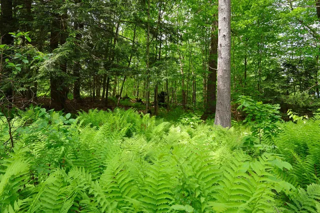 $359,000 | 25 Independent Drive, Hartland, VT 05048