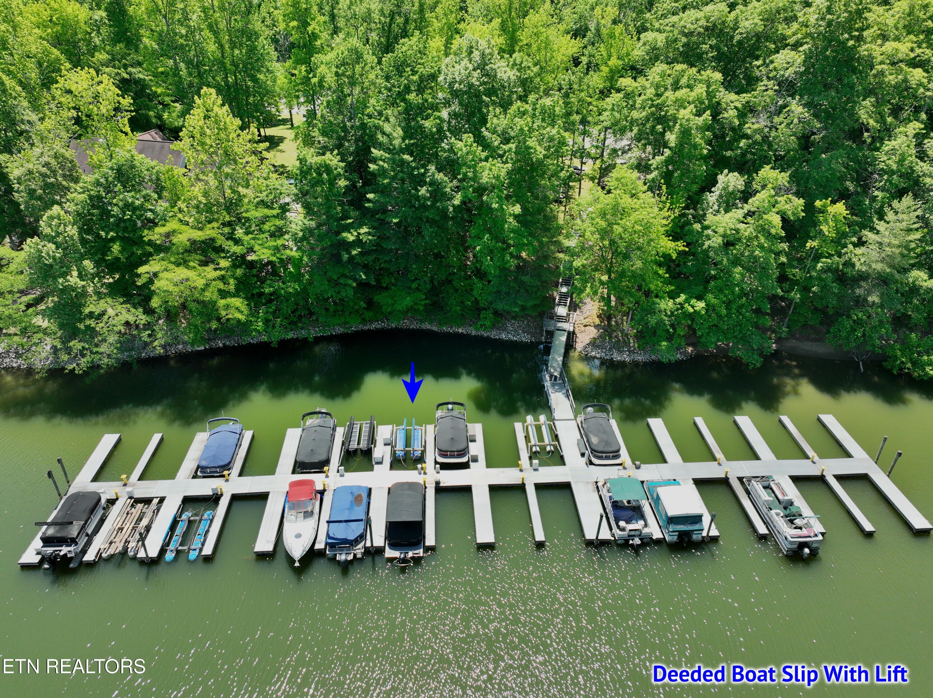 0 Flint Ridge Road Rockwood, TN 37854 - Photo 31 of 37 DJI_0620