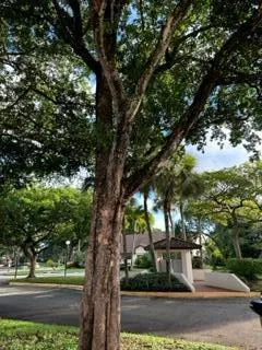 $3,000 | 3089 Inglewood Terrace, Boca Raton, FL 33431