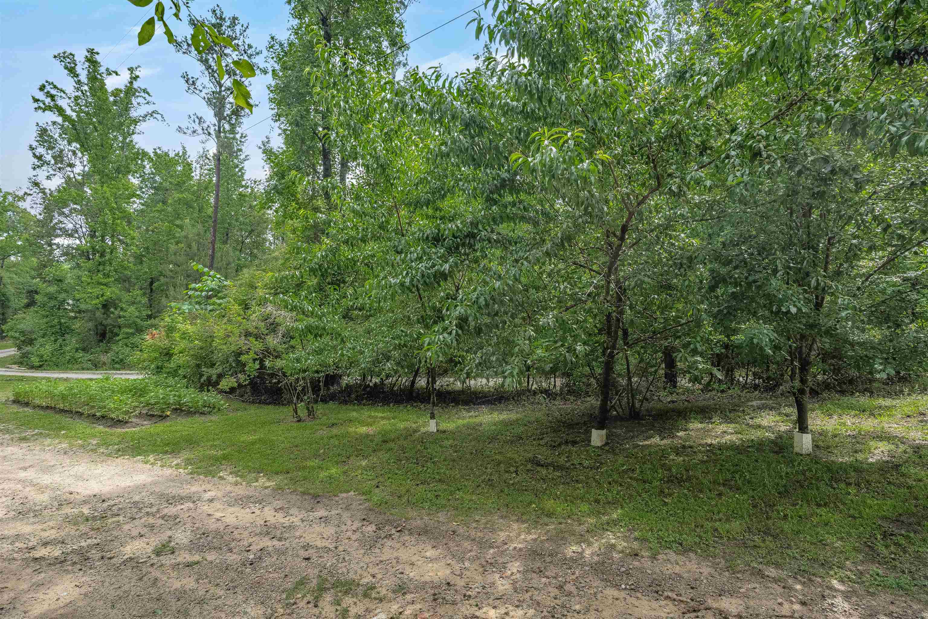 565 Portia Road Blythewood, SC 29016 - Photo 46 of 70