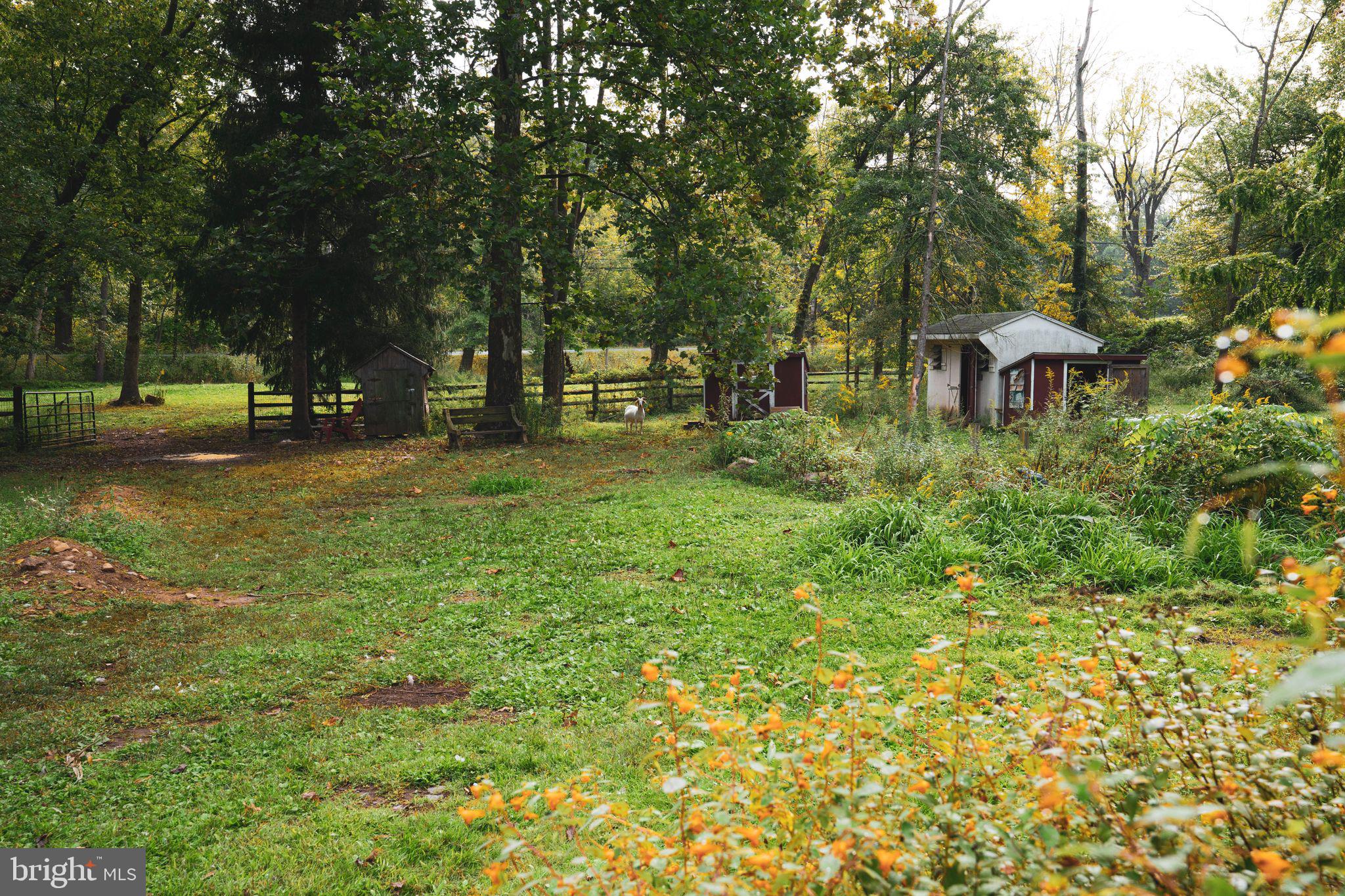 37 Mill Road Birdsboro, PA 19508 - Photo 44 of 72 View of pastures