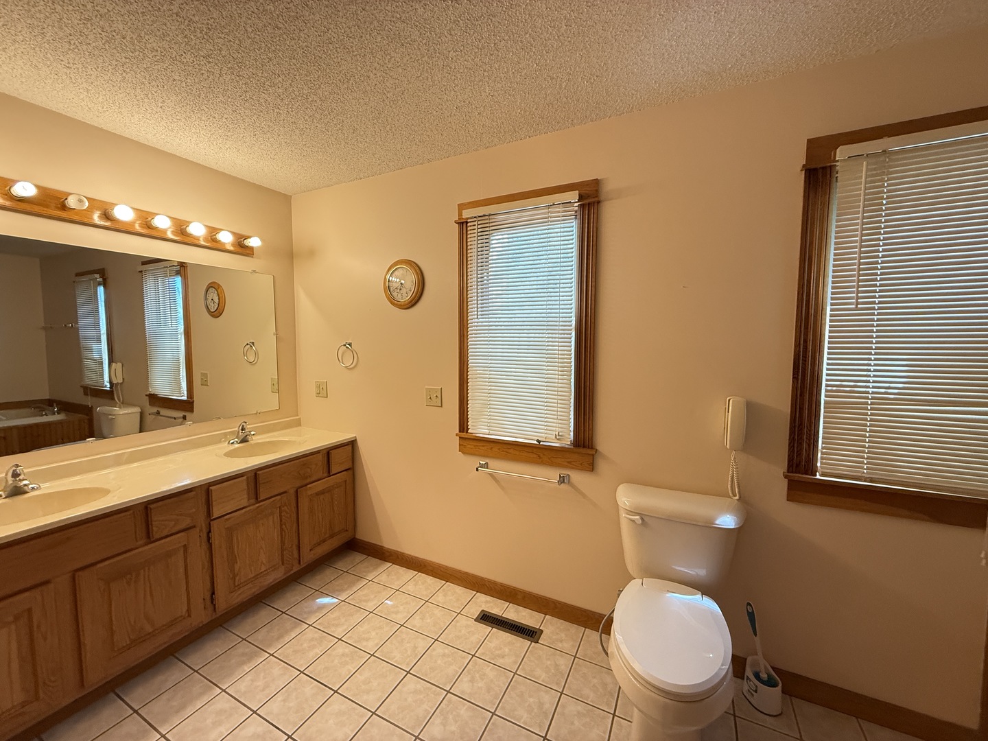 136 Bonnie Brae Road Carbondale, IL 62901 - Photo 11 of 30 a bathroom with a double vanity sink toilet and mirror