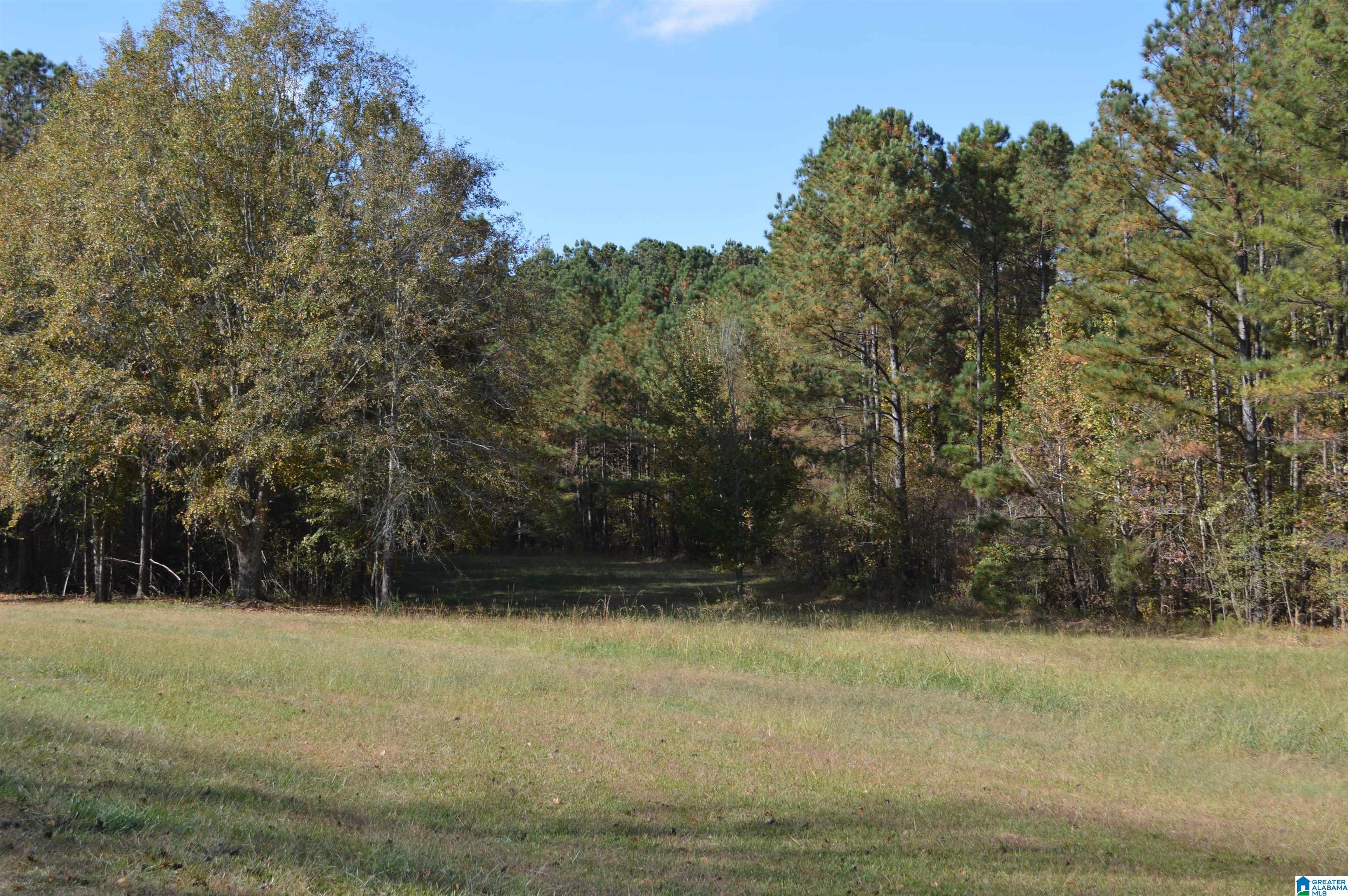 411 Holland-Finley Road Jacksonville, AL 36265 - Photo 33 of 68 Gallery Image 33
