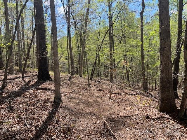 1600 Whiteside Road Mill Spring, NC 28756 - Photo 18 of 19