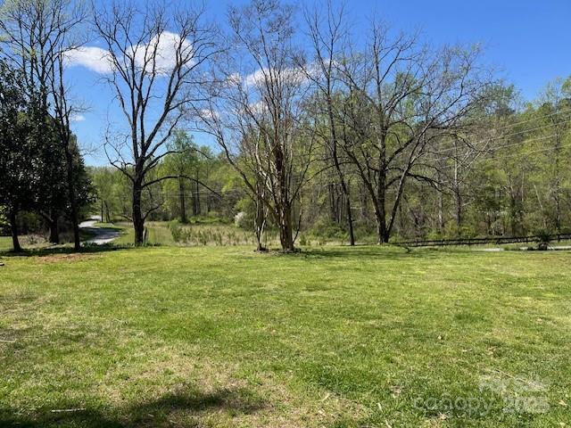 1600 Whiteside Road Mill Spring, NC 28756 - Photo 19 of 19
