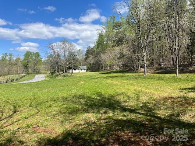 1600 Whiteside Road Mill Spring, NC 28756 - Photo 2 of 19