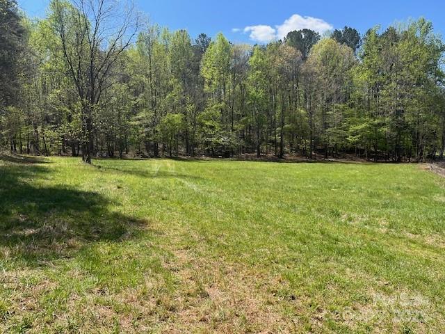 1600 Whiteside Road Mill Spring, NC 28756 - Photo 3 of 19