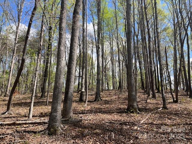 1600 Whiteside Road Mill Spring, NC 28756 - Photo 4 of 19