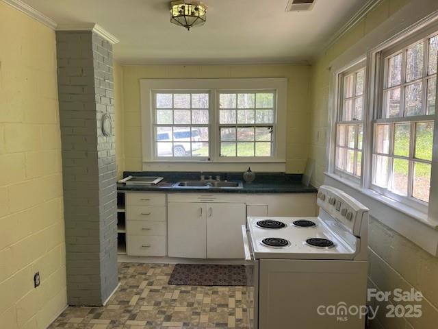 1600 Whiteside Road Mill Spring, NC 28756 - Photo 9 of 19