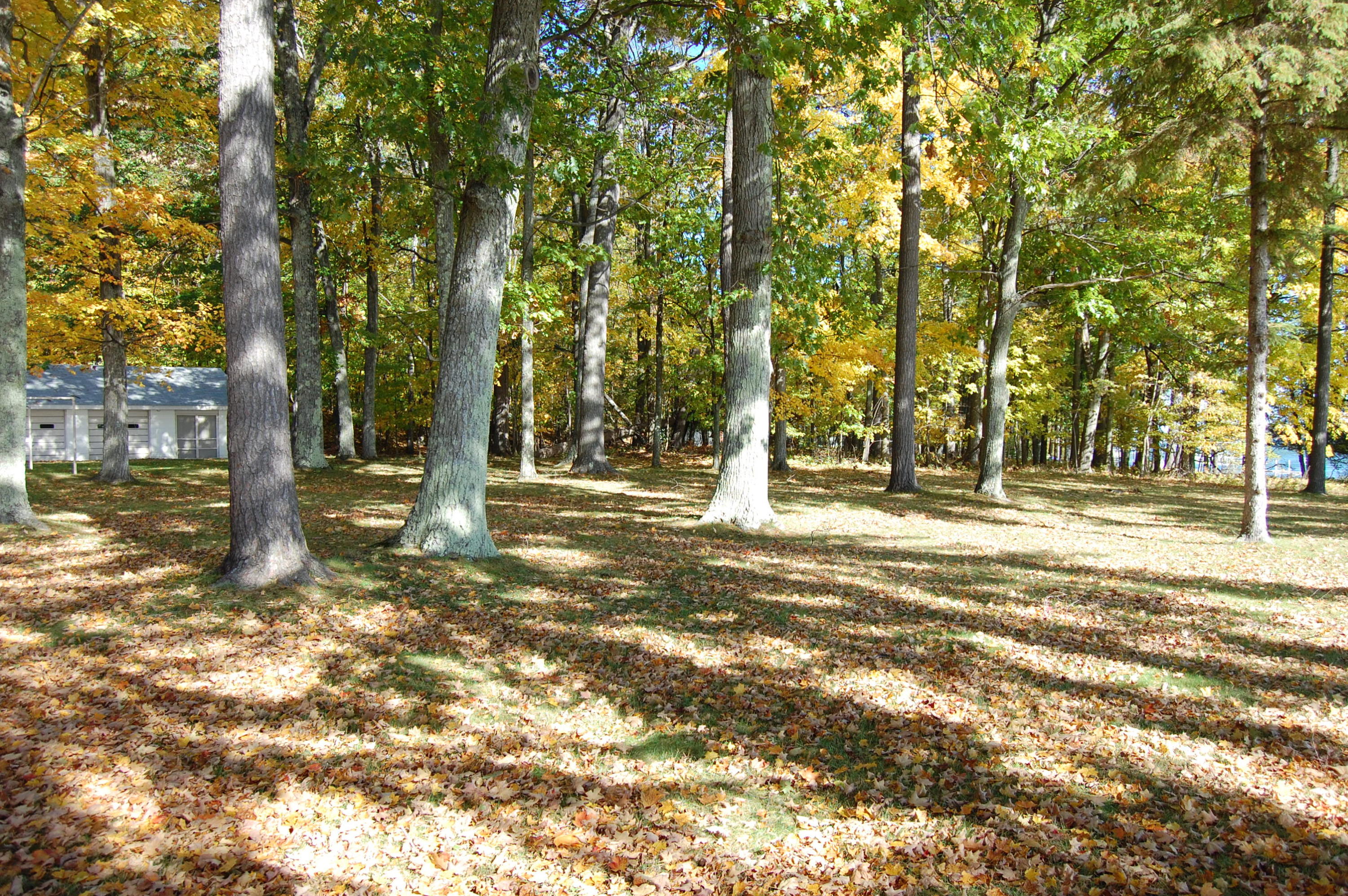 990 Indian Point Road Brutus, MI 49716 - Photo 23 of 28 Gallery Image 23