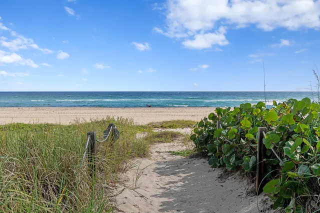 a view of an ocean beach