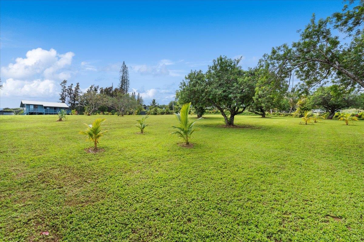 30 Haumana Road Haiku, HI 96708 - Photo 7 of 50