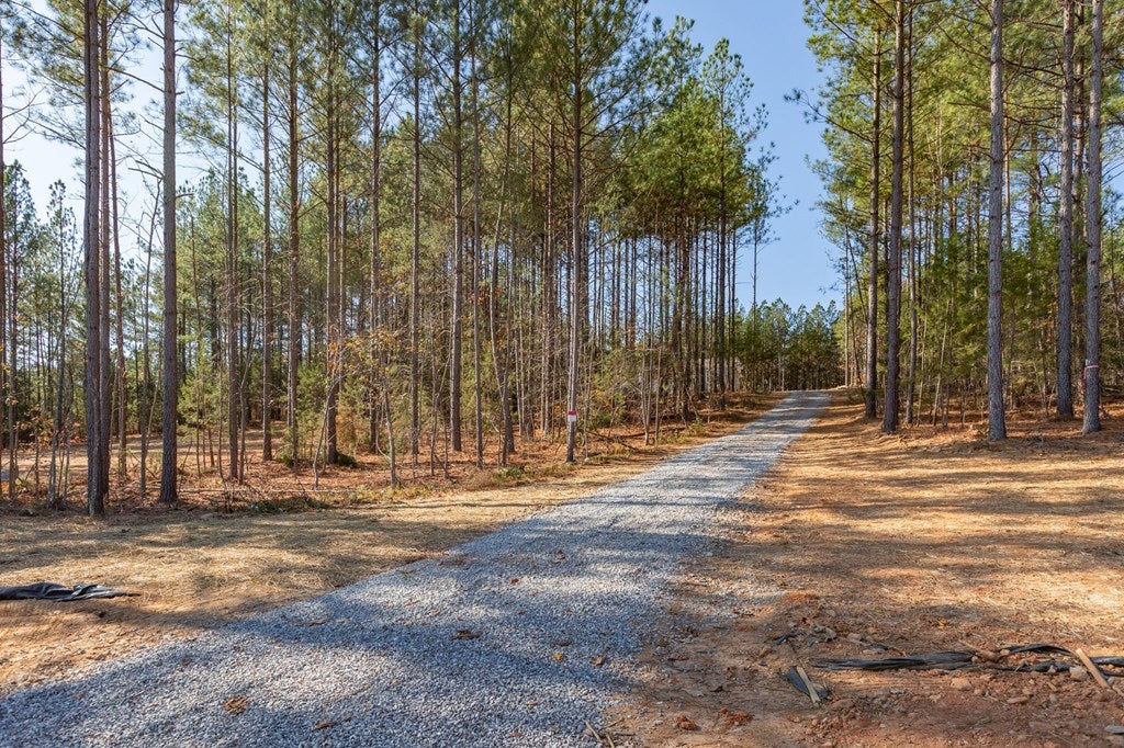 2243 Meherrin Road Meherrin, VA 23954 - Photo 32 of 50 Gallery Image 32