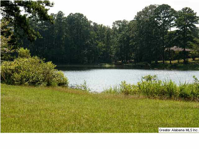 8141 Serene Lake Road McCalla, AL 35111 - Photo 31 of 32