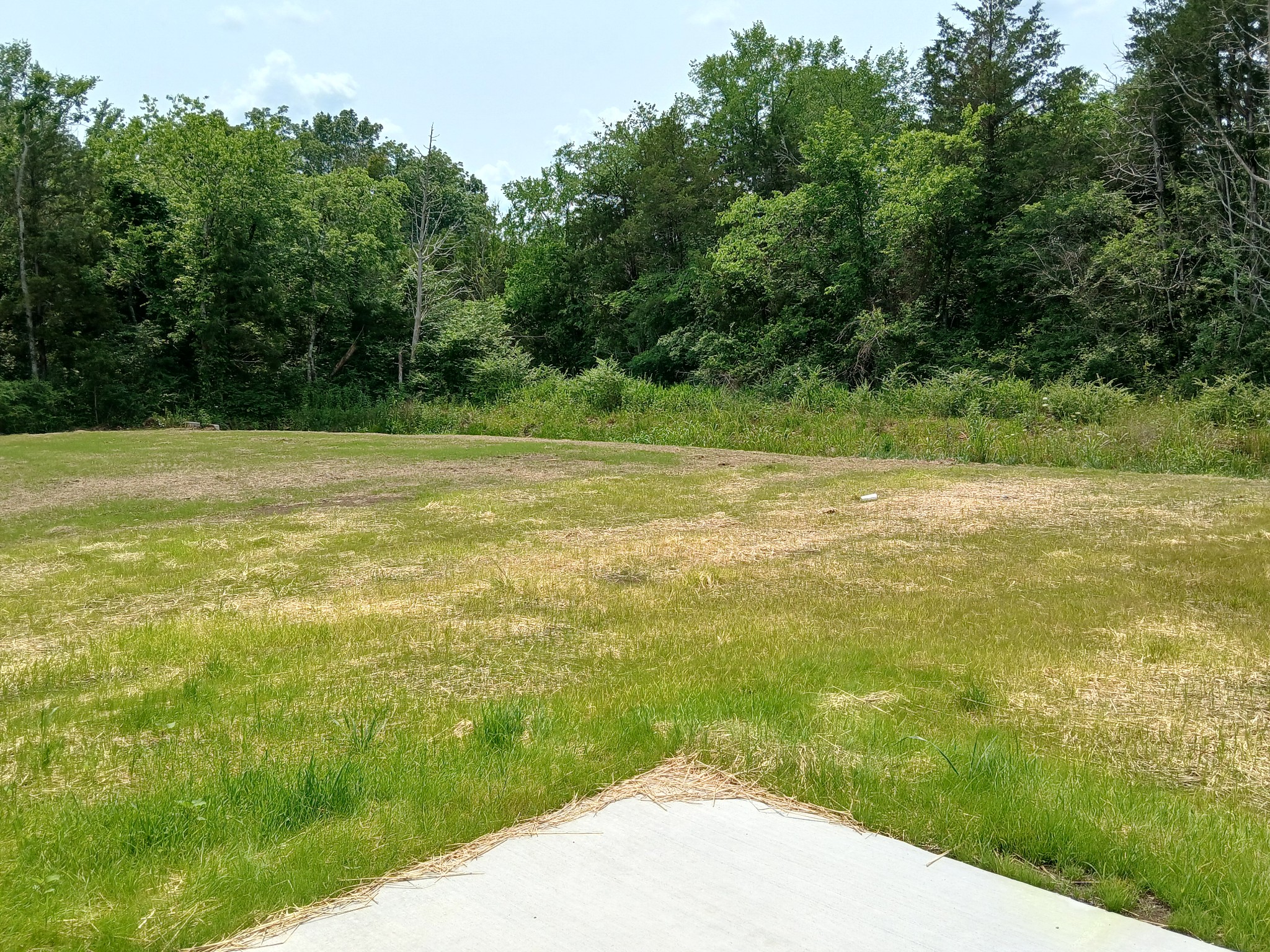 2113 Red Barn Road Christiana, TN 37037 - Photo 5 of 94