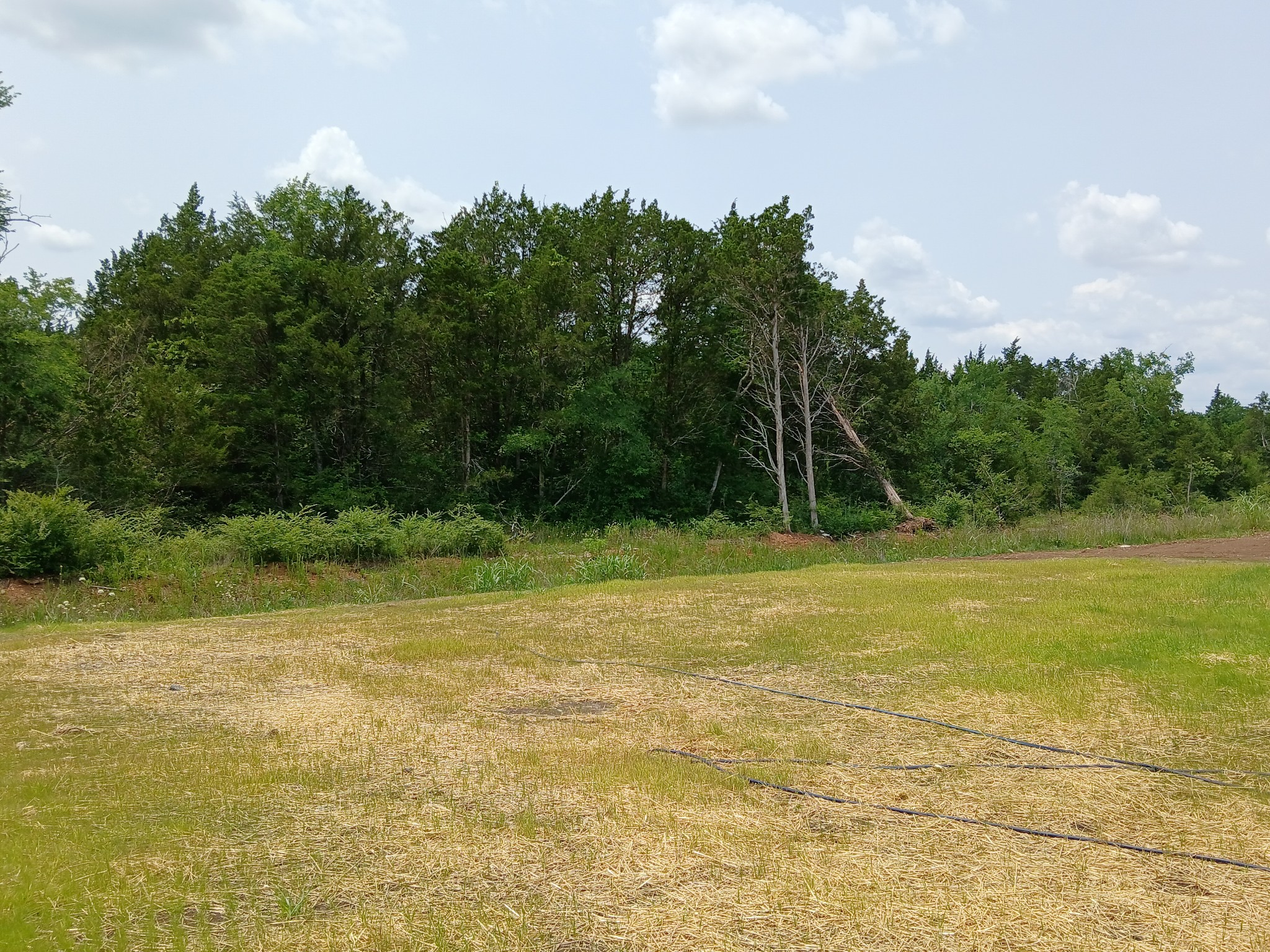 2113 Red Barn Road Christiana, TN 37037 - Photo 8 of 94