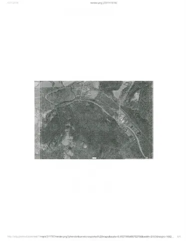 a view of a plant in a garden