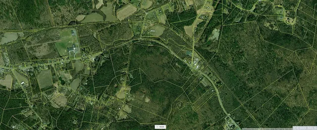 a view of a forest with trees