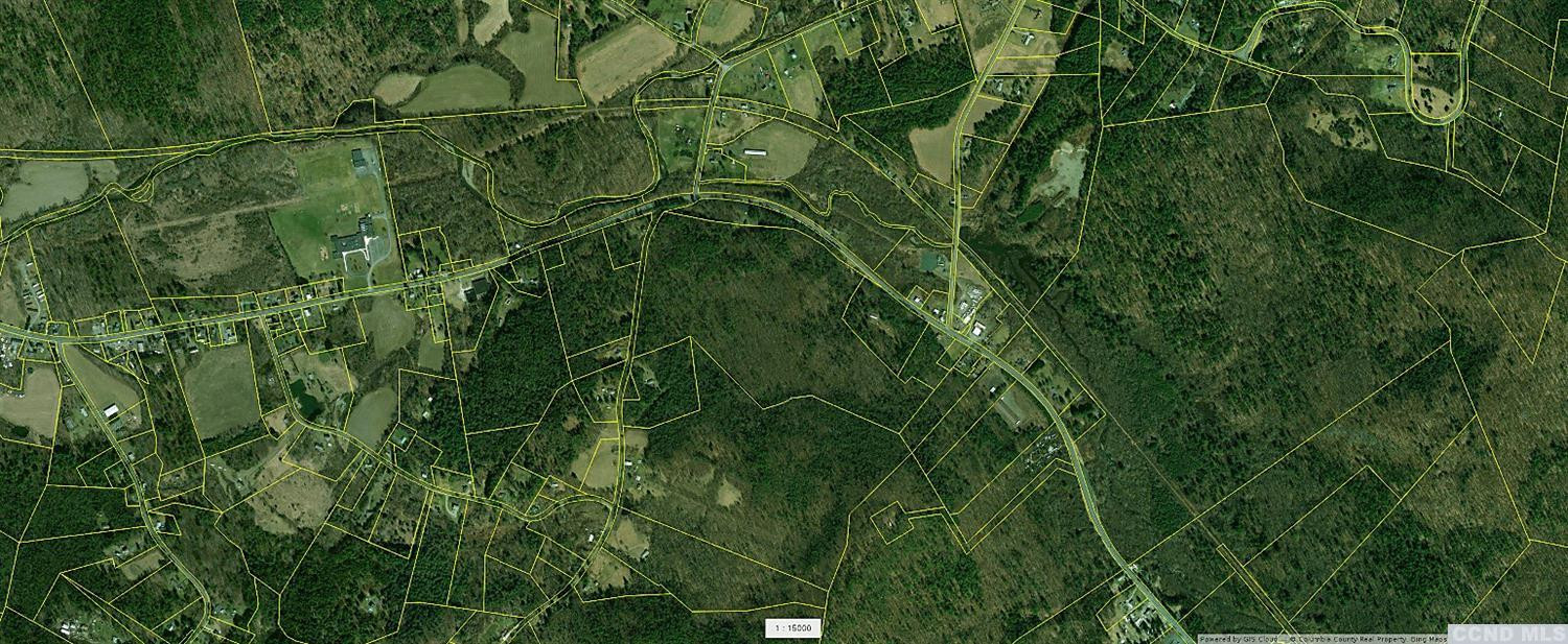 0 Frenchs Hill Road New Lebanon, NY 12125 - Photo 3 of 7 a view of a plant in a garden