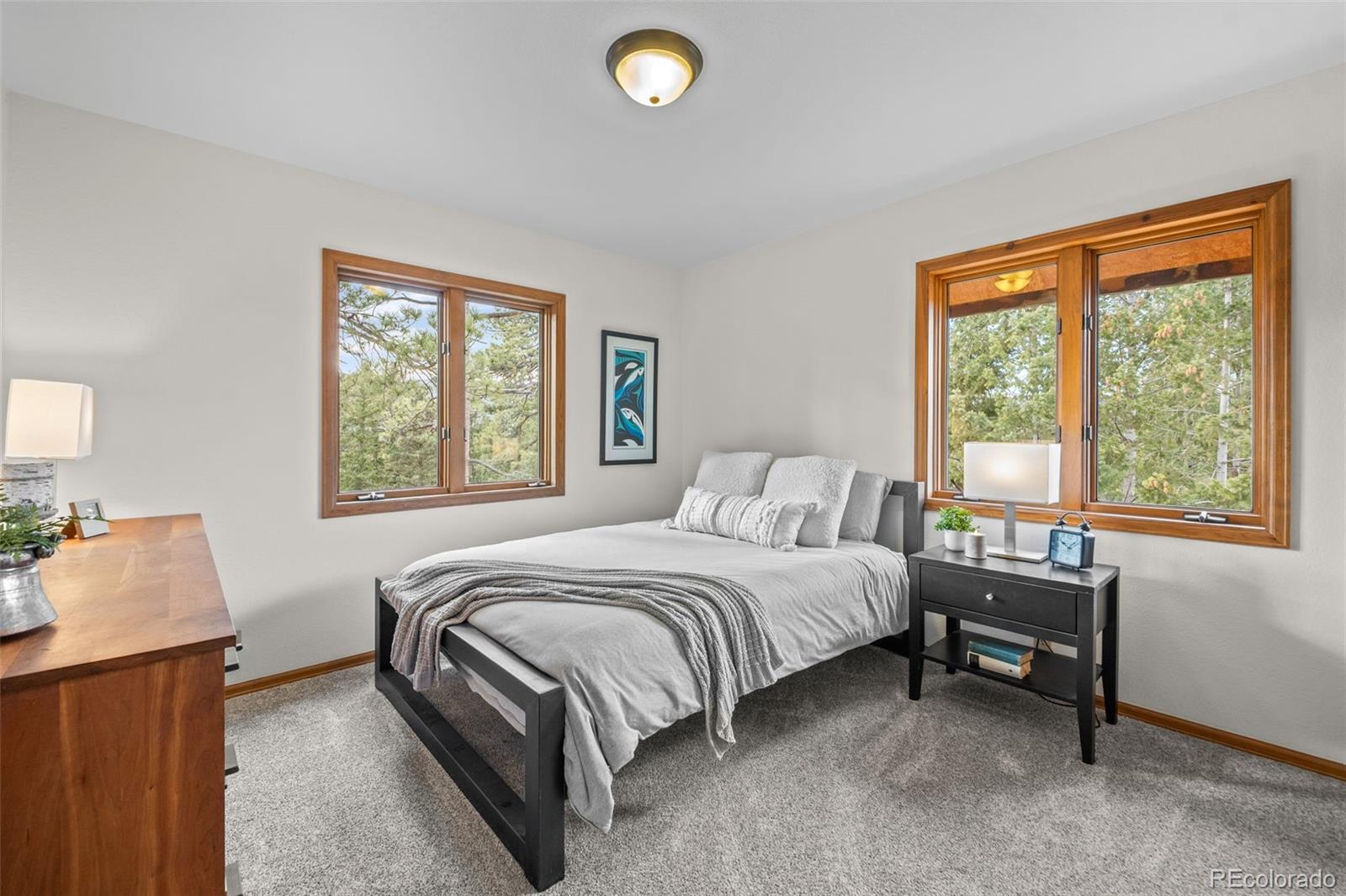 33172 Lynx Lane Evergreen, CO 80439 - Photo 25 of 45