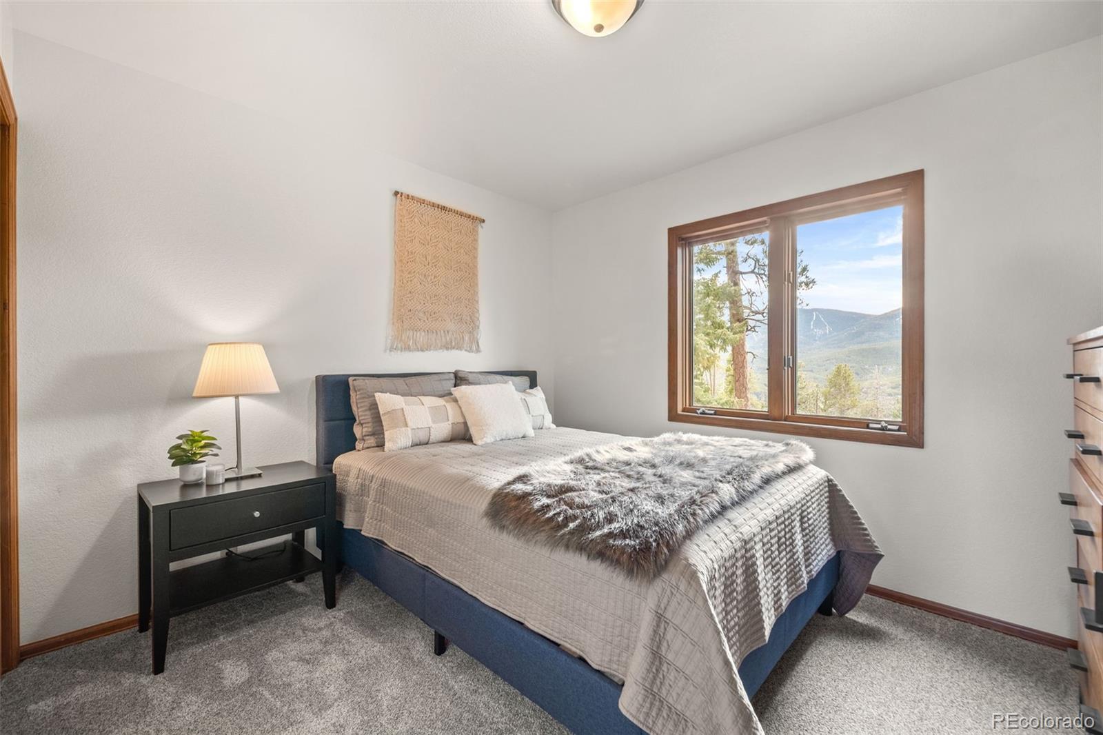 33172 Lynx Lane Evergreen, CO 80439 - Photo 27 of 45