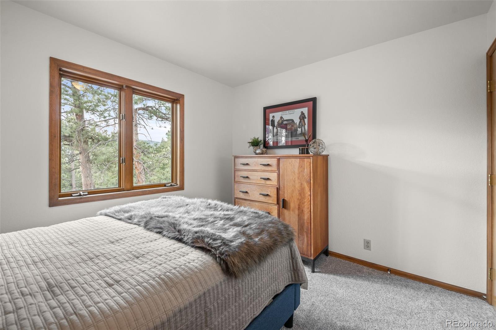 33172 Lynx Lane Evergreen, CO 80439 - Photo 28 of 45