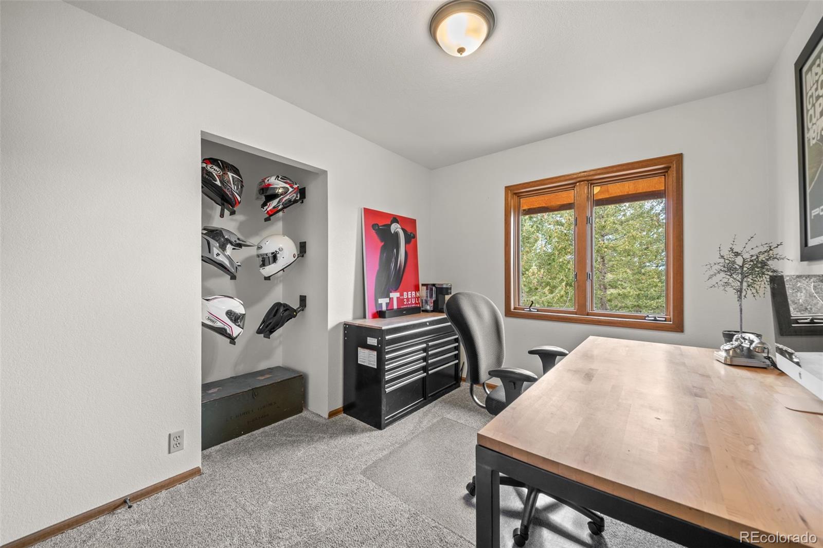 33172 Lynx Lane Evergreen, CO 80439 - Photo 31 of 45