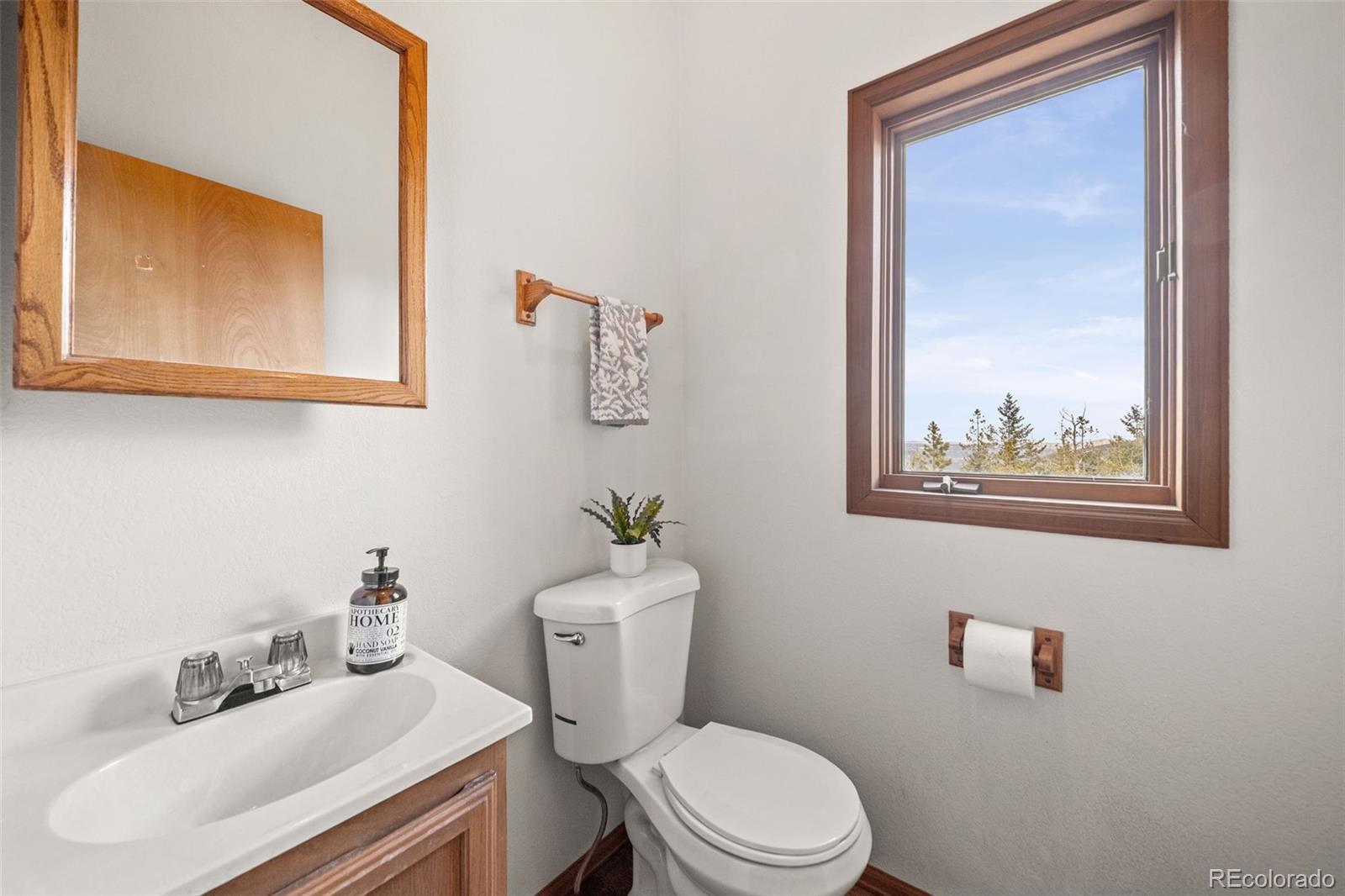 33172 Lynx Lane Evergreen, CO 80439 - Photo 34 of 45